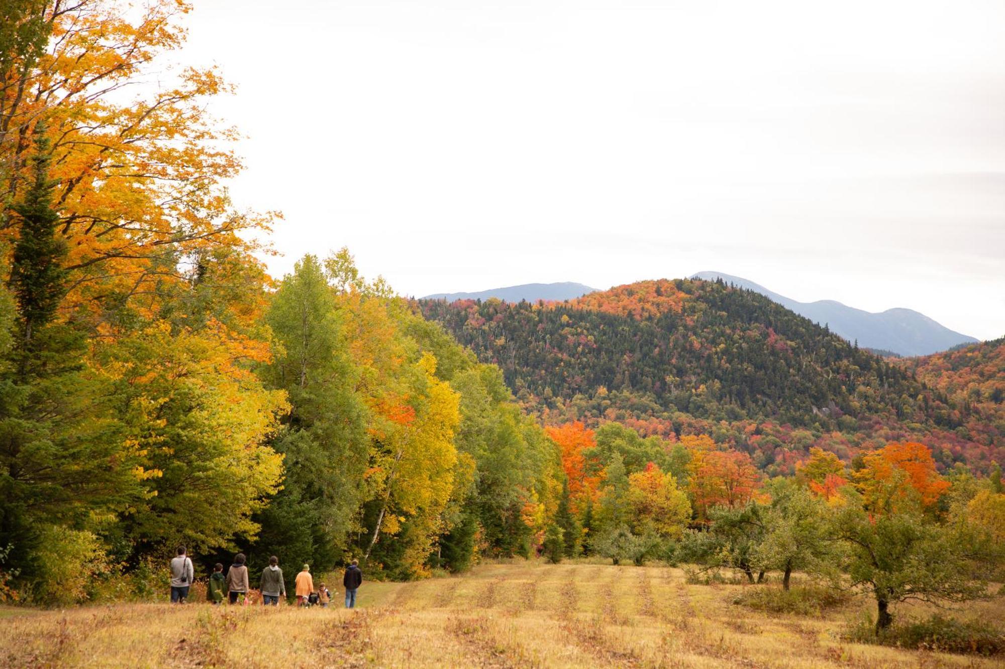Lake Placid Inn: Residences Εξωτερικό φωτογραφία